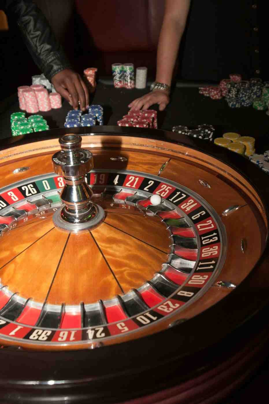 Casinolepalme